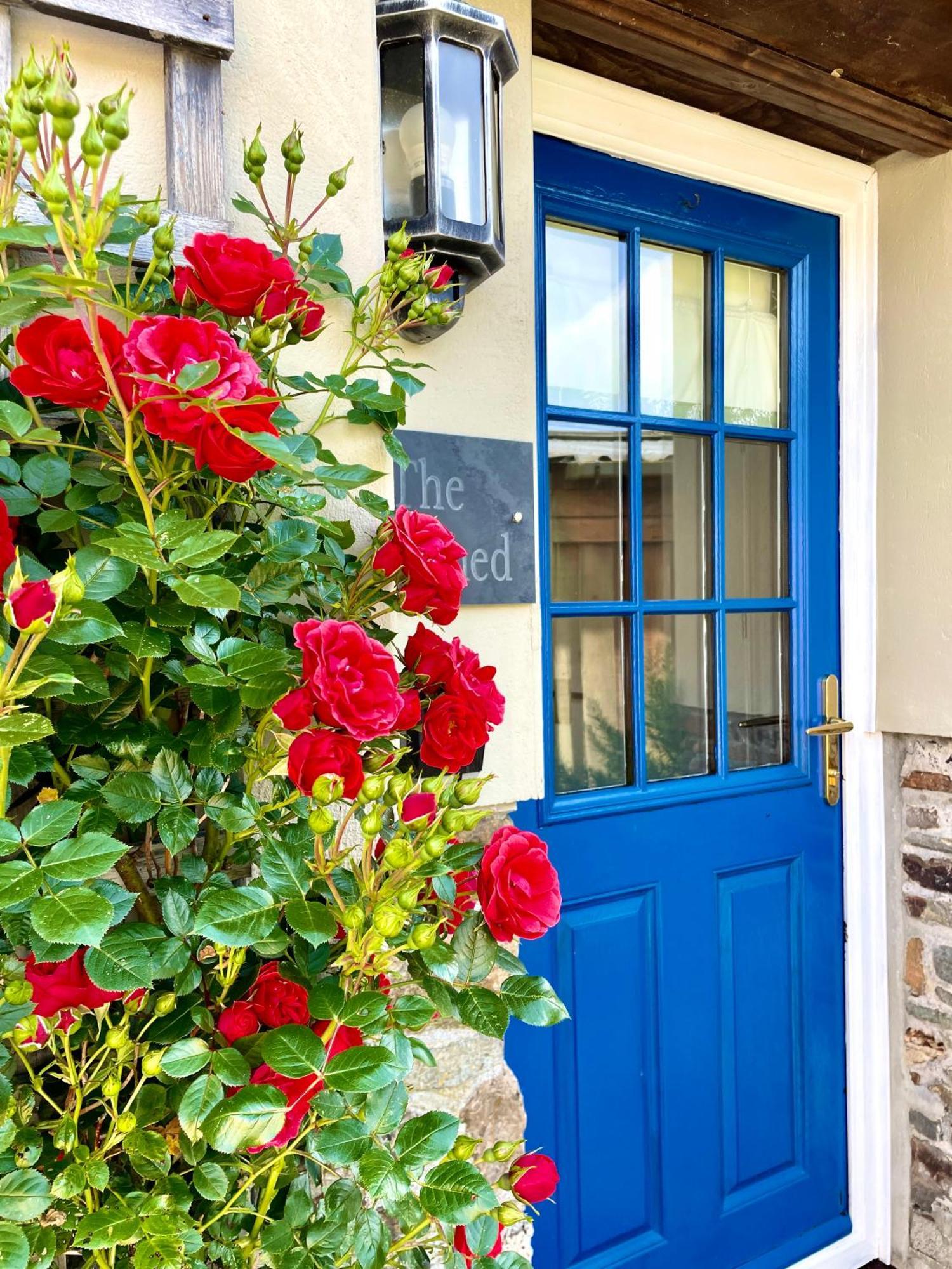The Cowshed - Cottage In Cornwall Jacobstow 외부 사진